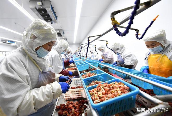 预制菜正在加速突围未来将成为餐饮新趋势！冰球突破豪华版app外卖时代或将终结？(图6)